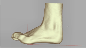 Hier ist ein Scan eines Fußes zu sehen